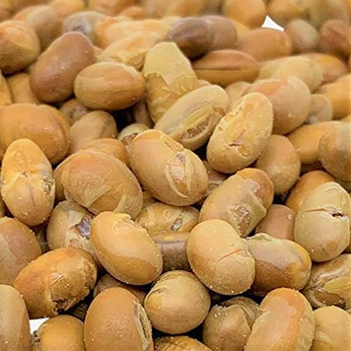 Soy Nuts Roasted Salted Soy Beans by It's Delish, 2 lbs Bulk Bag | with Sea Salt Healthy Protein Filled & Crunchy Snack - Soybean Nuts Vegan & Kosher