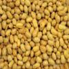 Soy Nuts Roasted Salted Soy Beans by It's Delish, 2 lbs Bulk Bag | with Sea Salt Healthy Protein Filled & Crunchy Snack - Soybean Nuts Vegan & Kosher view 3