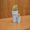 Garden Paint Pebble 250ml view 3