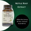 Barlowe's Herbal Elixirs Nettle Root Extract | Urtica Dioica with 95% 3,4-Divanillyltetrahydrofuran | 425mg Per Capsule | 60 Vegan Capsules | Stearate-Free | Glass Bottles view 3