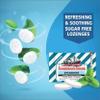 Fisherman's Friend Sugar Free Spearmint Flavor 22 Lozenges (Pack of 6) view 4
