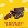 Raisinets, Dark Chocolate Covered California Raisins, Movie Theater Candy Box, 3.1 oz each, Bulk 15 Pack view 4