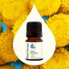 Plant Therapy Organic Blue Tansy Essential Oil 2.5 mL (1/12 oz), 100% Pure, Undiluted, Natural Aromatherapy, Soothing for Sensitive Skin view 3