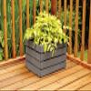 Garden Paint Charcoal Grey 250ml view 2