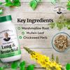 Christopher's Original Formulas Lung & Bronchial Formula - Lung Cleanse for Smokers - Supports Respiratory System with Synergistic Blend of Herbs - Pack of 2 view 3