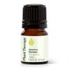Plant Therapy Jasmine Sambac Absolute Essential Oil 100% Pure, Undiluted, Natural Aromatherapy, Therapeutic Grade 2.5 mL (1/12 oz) view 1