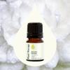 Plant Therapy Jasmine Sambac Absolute Essential Oil 100% Pure, Undiluted, Natural Aromatherapy, Therapeutic Grade 2.5 mL (1/12 oz) view 3