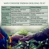 VAHDAM, High Mountain Oolong Tea Leaves From Himalayas - 340g/12oz (170 Cups) High Elevation Grown | Vacuum Sealed | Brew Hot, Iced Or Kombucha Tea | Loose Leaf Tea view 2