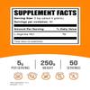 BulkSupplements.com L-Arginine HCl Powder - Nitric Oxide Supplement, Arginine Powder - Unflavored & Gluten Free, 5g per Serving, 250g (8.8 oz) (Pack of 1) view 2