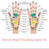 EliteShine Foot Reflexology Massage Cushion Acupressure Mat Health Care Therapy Yoga Mat Gifts for Seniors view 4