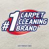 Resolve Pet Expert High Traffic Area, Carpet Foam, 22 oz (Pack of 5) view 2
