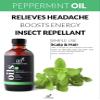 ArtNaturals Oil, Peppermint, 4 Fluid Ounce view 4