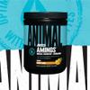 Animal Juiced Amino Acids - BCAA Powder EAA Matrix Plus Hydration with Electrolytes and Sea Salt Anytime Recovery and Improved Performance, Orange Flavor, 30 Servings view 2