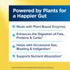 Renew Life Adult DigestMore Ultra Enzymes - Ultra-Strength Plant-Based Digestive Enzyme Formula for Men & Women - 90 Vegetarian Capsules view 4