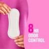 Carefree Panty Liners for Women, Regular, Unwrapped, Unscented, 120ct | Pantiliners, Carefree Liners, Daily Liners for Women, Light Periods and Leaks, 8-Hour Odor Control | 120ct (Packaging May Vary) view 3