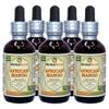 African Mango, Black Myrobalan (Irvingia Gabonensis) Dried Seed Liquid Extract (Brand Name: HerbalTerra, Proudly Made in USA) 5x2 oz view 1