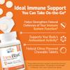 21st Century Immublast Chewable Tablets, Citrus 32 Count view 2