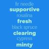 Plant Therapy Kids Sniffle Stopper Essential Oil Blend Pre-Diluted Roll-On 10 mL (1/3 oz) Respiratory Support Blend 100% Pure, Natural Aromatherapy, Therapeutic Grade view 4