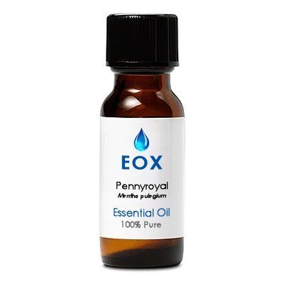 EOX Pennyroyal Essential Oil 11604 New Essential Oils 15 ml