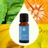 Plant Therapy Chill Out Essential Oil Blend (Formally Let It Go), 10 mL (1/3 oz), for Stress & Calming Relief, 100% Pure, Undiluted, Great for Essential Oil Diffusers view 3