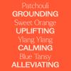 Plant Therapy Chill Out Essential Oil Blend (Formally Let It Go), 10 mL (1/3 oz), for Stress & Calming Relief, 100% Pure, Undiluted, Great for Essential Oil Diffusers view 4