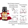 10ml Breast Enlargement Essential Oil for Breast Growth Big Boobs Firming Massage Oil Beauty Products for Women Butt Enhancement view 1