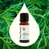 Plant Therapy Cedarwood Virginian Essential Oil 10 mL (1/3 Oz) 100% Pure, Undiluted, for Aromatherapy, Clear Skin and Respiratory Support view 3