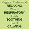 Plant Therapy Cedarwood Virginian Essential Oil 10 mL (1/3 Oz) 100% Pure, Undiluted, for Aromatherapy, Clear Skin and Respiratory Support view 4