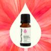 Plant Therapy Geranium Bourbon Essential Oil 10 mL (1/3 oz), 100% Pure, Undiluted, Natural Aromatherapy, Soothing Skincare and Emotional Balance view 3