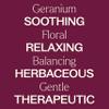 Plant Therapy Geranium Bourbon Essential Oil 10 mL (1/3 oz), 100% Pure, Undiluted, Natural Aromatherapy, Soothing Skincare and Emotional Balance view 4