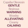 Plant Therapy Copaiba Oleoresin 30 mL (1 oz) 100% Pure, Undiluted, Aromatherapy, Soothing Natural Pain Relief and Skin Care view 4