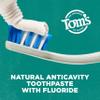 Tom's of Maine Whole Care Natural Toothpaste with Fluoride, Spearmint, 4 Ounce (Pack of 3), (Packaging May Vary) view 3