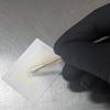 Crime Scene Semen Detection Test, Single Pack view 4