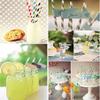 100 pcs Red Biodegradable Paper Drinking Straws Striped Birthday Wedding Party Good Quality Good Ideas for Deccoration view 3