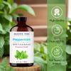 Majestic Pure Essential Oil with Glass Dropper - 100% Pure and Natural - Essential Oils for Diffuser, Aromatherapy, Soap and Candle Making, Peppermint Essential Oil, Peppermint Oil, 4 Fl Oz view 2