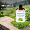 Majestic Pure Essential Oil with Glass Dropper - 100% Pure and Natural - Essential Oils for Diffuser, Aromatherapy, Soap and Candle Making, Peppermint Essential Oil, Peppermint Oil, 4 Fl Oz view 4