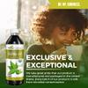 USDA Organic guayusa Loose Leaf Extract 12oz - Caffeine Extract Liquid guayusa Drink - for Increased Energy, Mood, Concentration, Immunity and Digestion - Natural Caffeine Energy Drink - Made in USA view 2