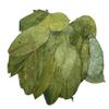 Graviola Tea Company Wildcrafted Graviola Soursop Leaves (25 g / 0.8 oz) Approx. 100 Whole Leaves view 3