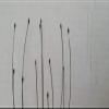 10 Scalp Head Neck Scratcher Massager Stress Releif Tool Acupressure Therapy view 3