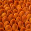 Arashan Apricots  Delicious Dried Apricot Fruit, MOST Delectable Dry Apricot In The World! Grown In The Ferghana Valley In Kyrgyzstan  Apricots Dried | Sundried, Pitted, No Sugar Added (1 LB) view 3