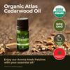Gya Labs Organic Cedarwood Essential Oil - 0.34 Fl Oz - for Skin, Hair, Diffuser, Aromatherapy, DIY Candle Making Scents view 2