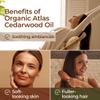 Gya Labs Organic Cedarwood Essential Oil - 0.34 Fl Oz - for Skin, Hair, Diffuser, Aromatherapy, DIY Candle Making Scents view 4