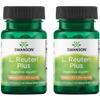 Swanson L. Reuteri Probiotic Plus w/L. Rhamnosus L. Acidophilus & FOS Prebiotic Digestive Support - Promotes Gut Health w/ 7 Billion CFU per Capsule - (30 Veggie Capsules) (2 Pack) view 1