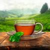 Red Rose Orange Pekoe Tea 418g Box/144 Tea Bags (Imported from Canada) view 3