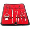 AAProTools Rodent Small Animal Cheek Teeth Molar Incisor Dentistry Dental Care Kit Set Tray Rabbit Chinchilla Gerbil Guinea Hamster Rat Veterinary Stainless Steel Instruments view 1