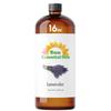 Sun Essential Oil - Lavender Essential Oil 16 oz (473 ml) for Diffuser, Humidifier, Skin, Aromatherapy Massage, Scented for Soap & Candle Making at Home, Calming Aroma for Sleep view 1