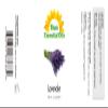Sun Essential Oil - Lavender Essential Oil 8 oz (236 ml) with Dropper for Diffuser, Humidifier, Skin, Aromatherapy Massage, Scented for Soap & Candle Making at Home, Calming Aroma for Sleep view 2