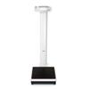 Seca 7691321004, 769 Digital Column Scale with BMI Function view 1