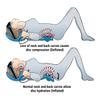 POSTURE PUMP Relief for Neck and Back Pain - Deluxe Full Spine Model 4100-S (Single Air Cell Cervical) DISC HYDRATOR view 3