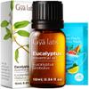 Gya Labs Eucalyptus Essential Oil - 0.34 Fl Oz - for Hair, Skin, Diffuser, Aromatherapy & DIY Candle Making Scent view 1
